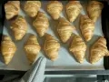 Pyszne, złociste croissanty ułożone na blasze. Idealne na śniadanie.